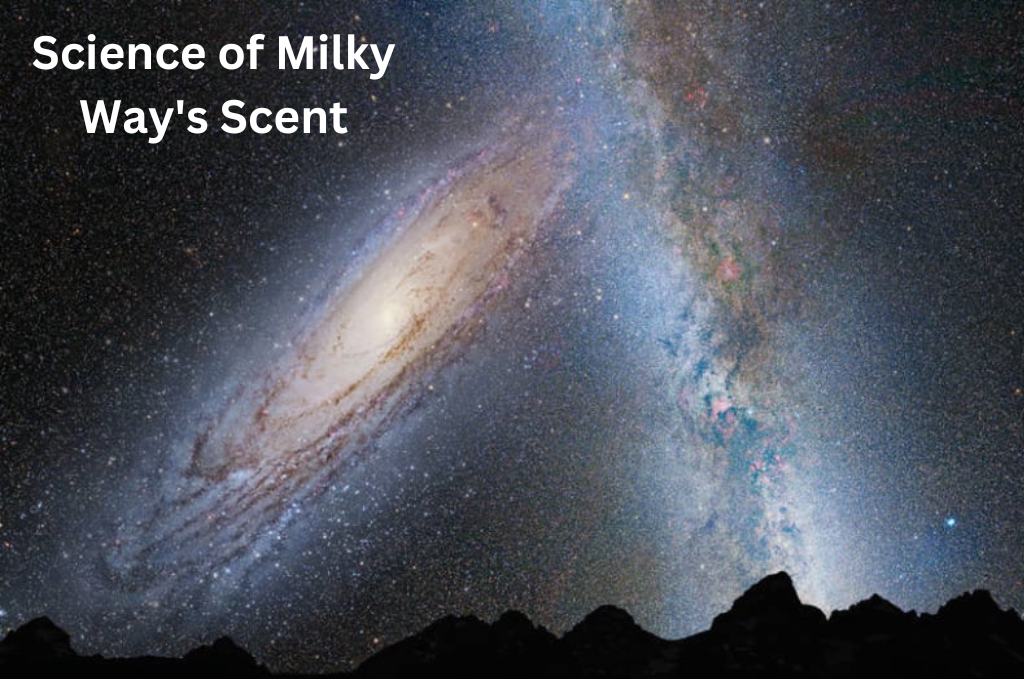 An image of Science of Milky Way's Scent