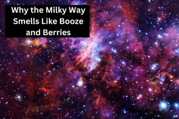 An image of Why the Milky Way Smells Like Booze and Berries