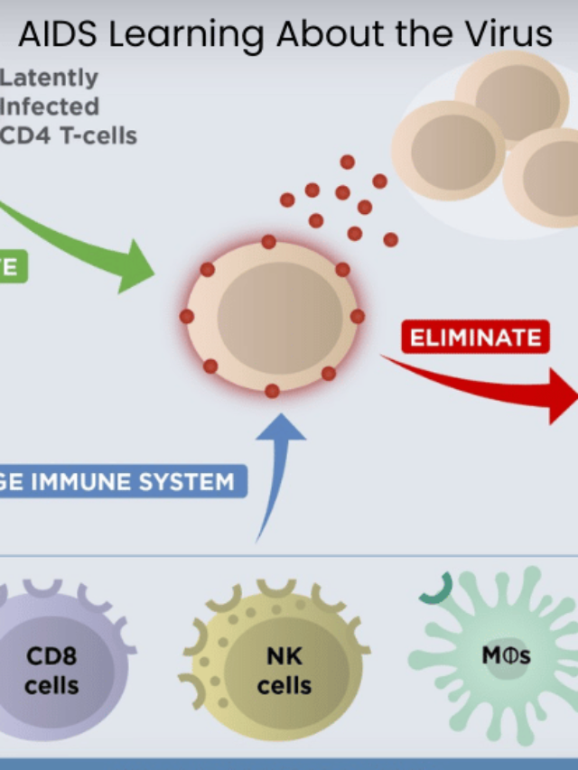 AIDS: Learning About the Virus and New Healthcare Improvements